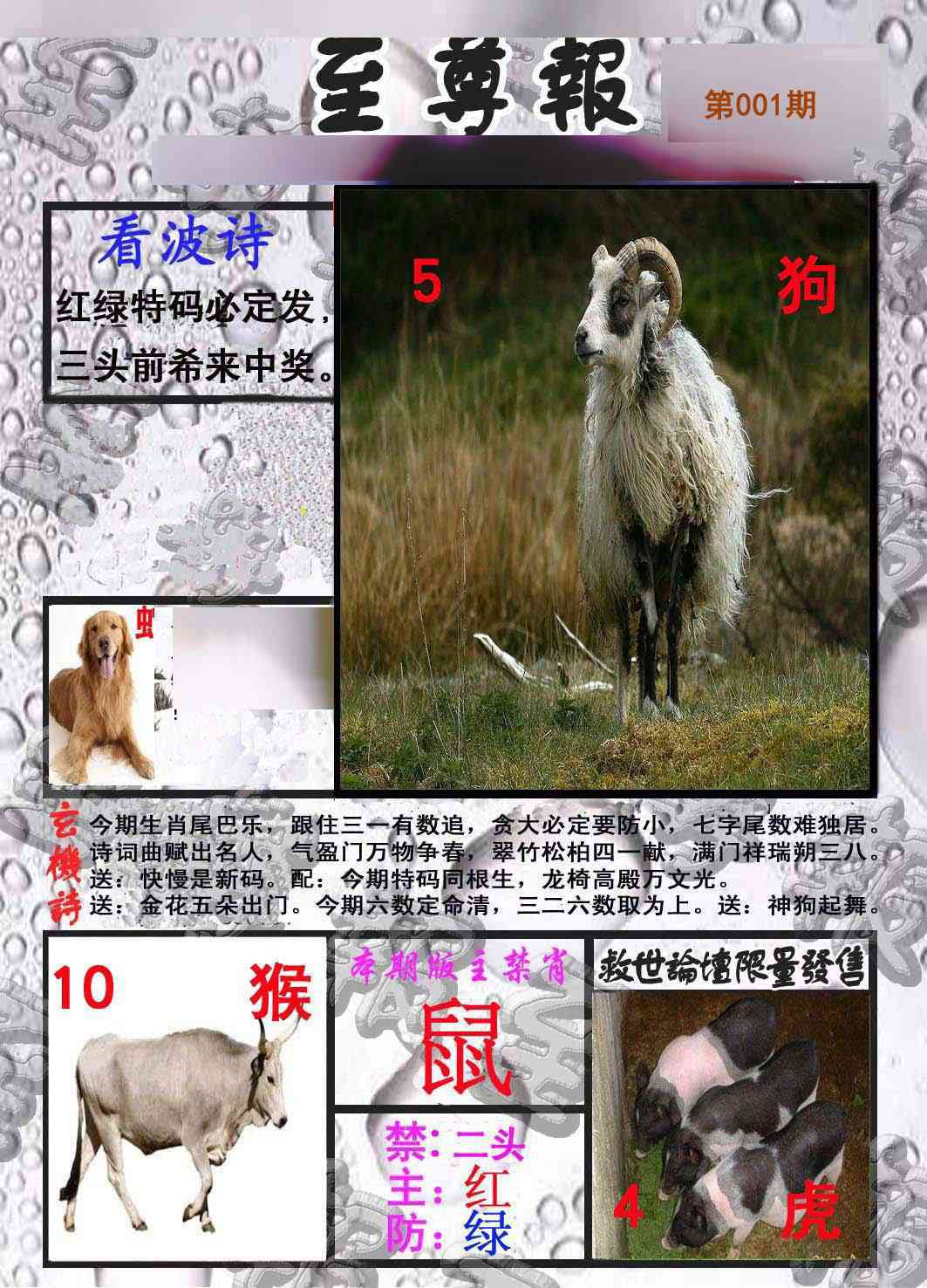 001期至尊报[图]