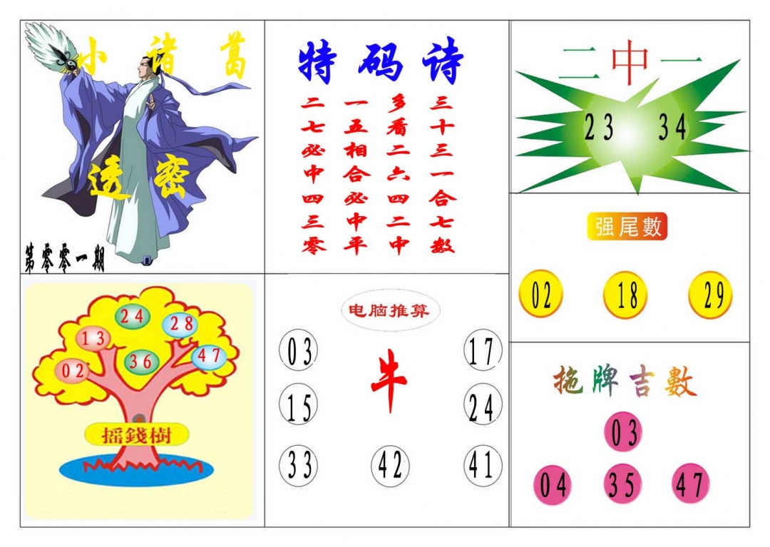 001期小诸葛[图]