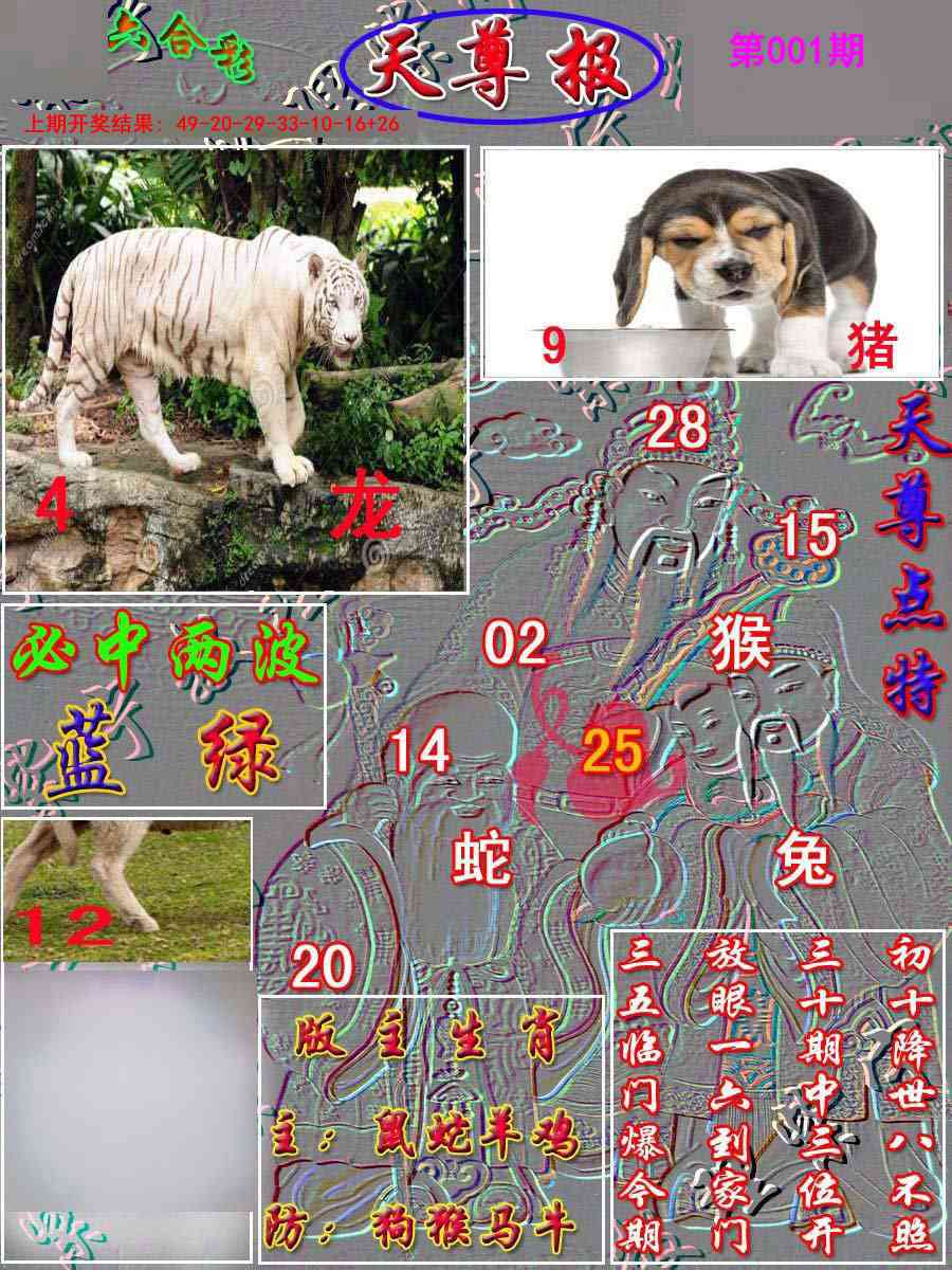 001期天尊报[图]