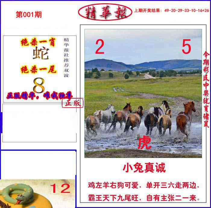 001期新精华报报[图]