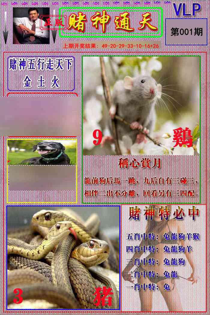 001期赌神通天报[图]