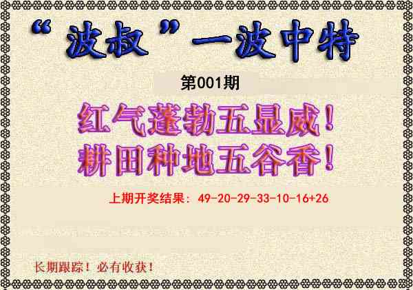 001期波叔一波中特[图]