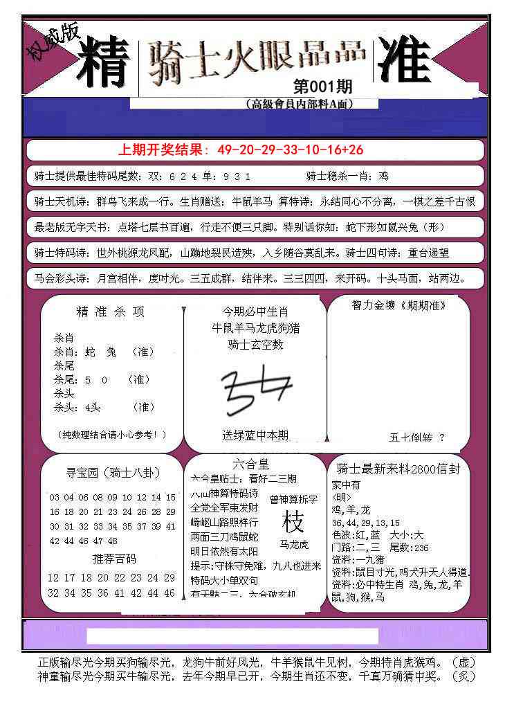 001期骑士火眼晶晶B[图]