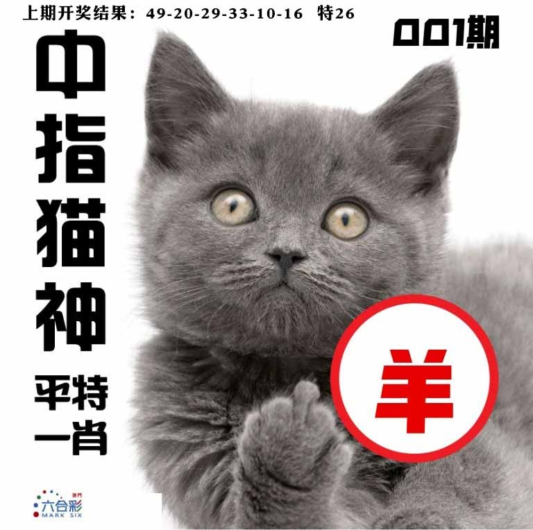 001期中指猫神[图]